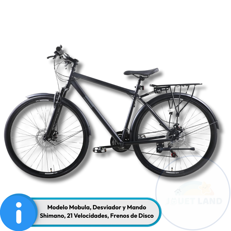 Bicicleta Urbana Rodada 700c